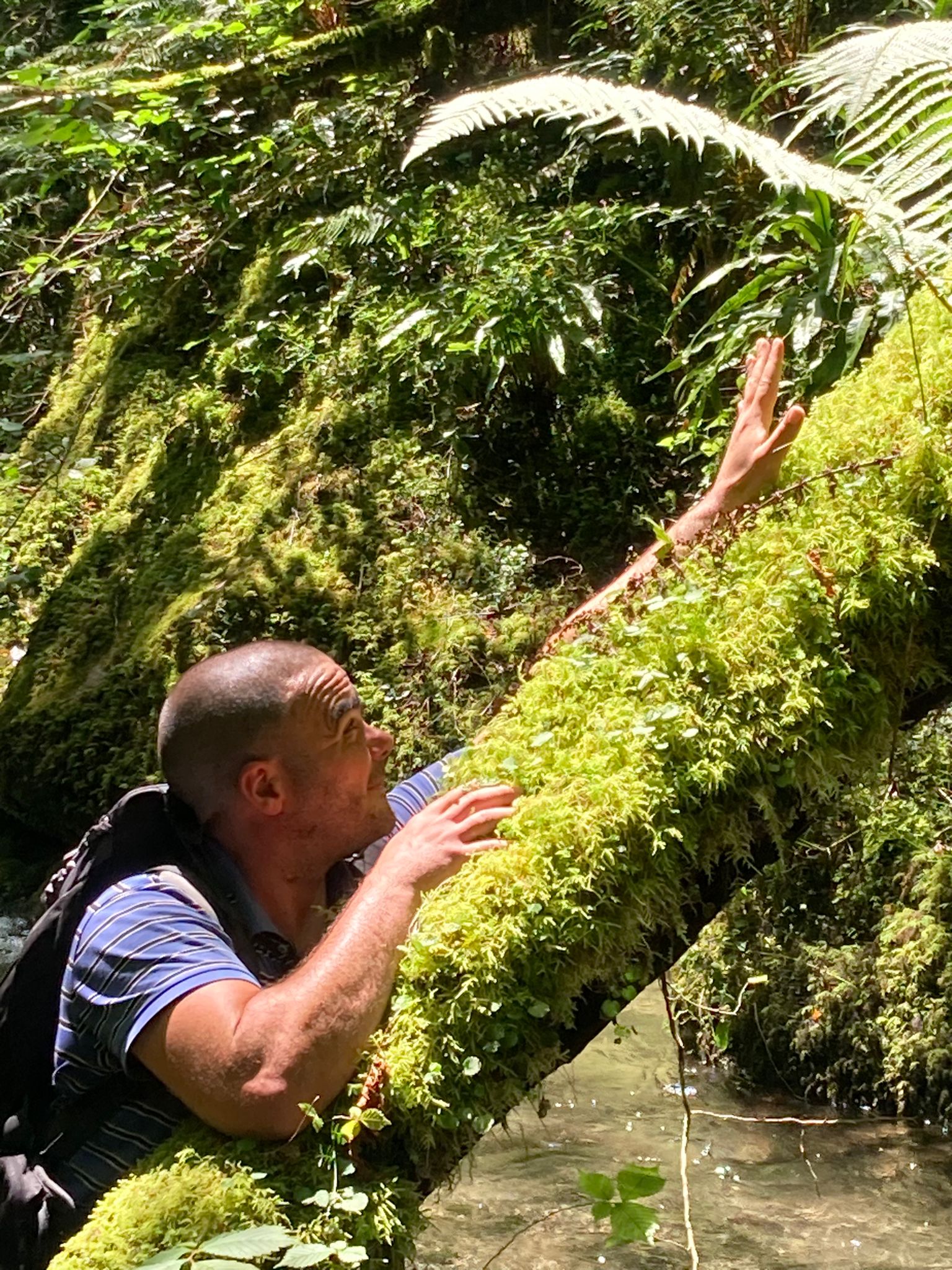Nohlann, 41 ans, Saint-Étienne-de-Tulmont